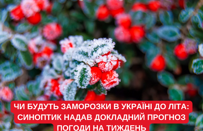 Чи будуть заморозки в Україні до літа: синоптик надав докладний прогноз погоди на тиждень