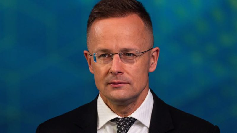 Угорщина вимагає від ЄС санкцій проти трьох українців через нібито смерть угорця від дій ТЦК