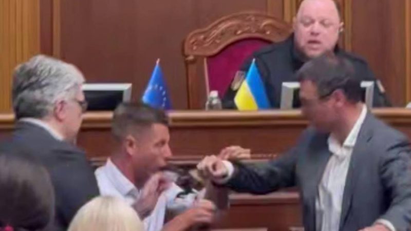 Гончаренко та Гетманцев побилися у Раді під час голосування за правки в законі (відео)
