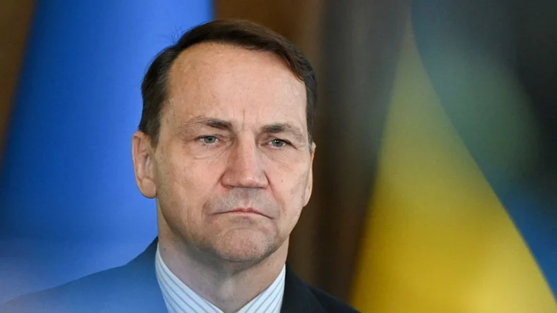 “Корона б не впала, якби попросив про візит до Навроцького”: Сікорський про Зеленського