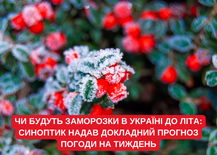 Чи будуть заморозки в Україні до літа: синоптик надав докладний прогноз погоди на тиждень