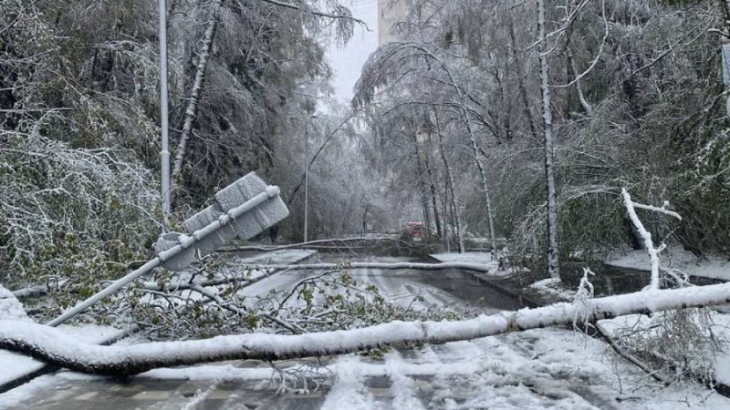 Москву та область накрив рекордний за 116 років снігопад