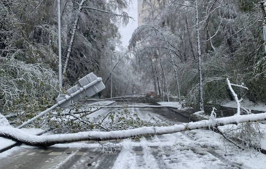 Москву та область накрив рекордний за 116 років снігопад