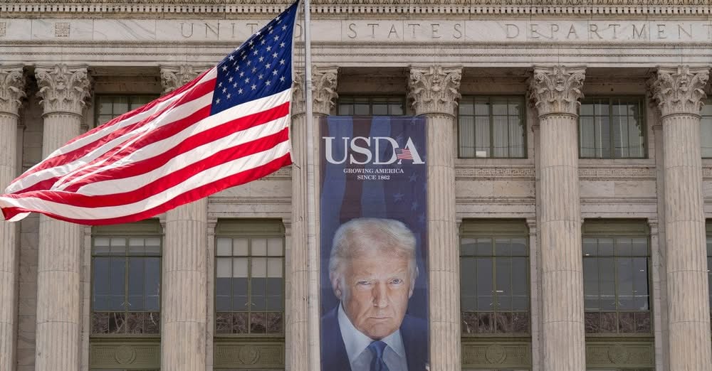 Польща вперше збивала “Шахеди”: у США відреагували на атаку