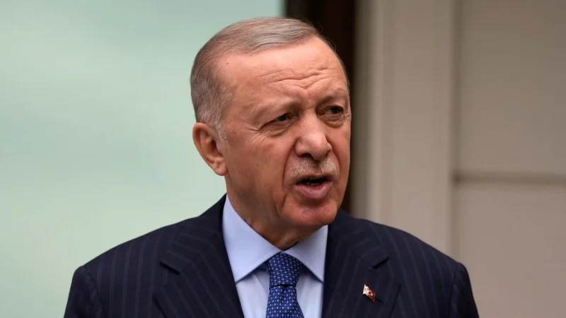 Ердоган звернувся з попередженням до України та РФ: що заявив