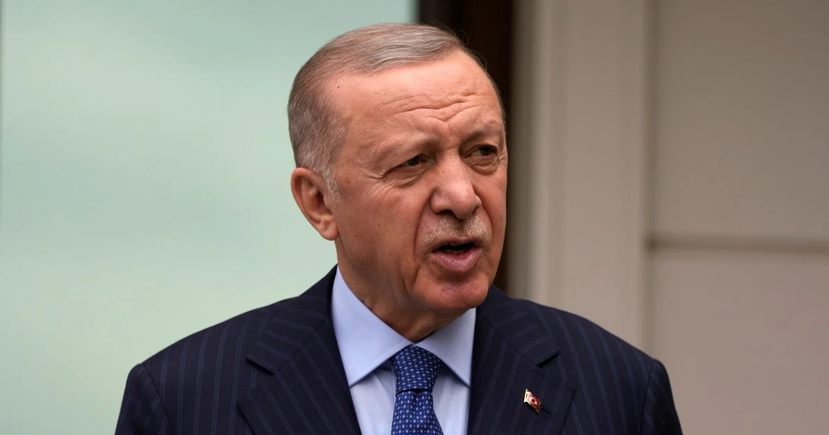 Ердоган звернувся з попередженням до України та РФ: що заявив
